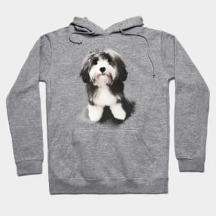 Cute Havanese Drawing Hoodie